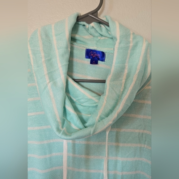 Cowl Neck Aqua Striped Sweater Size Large - Picture 3 of 5